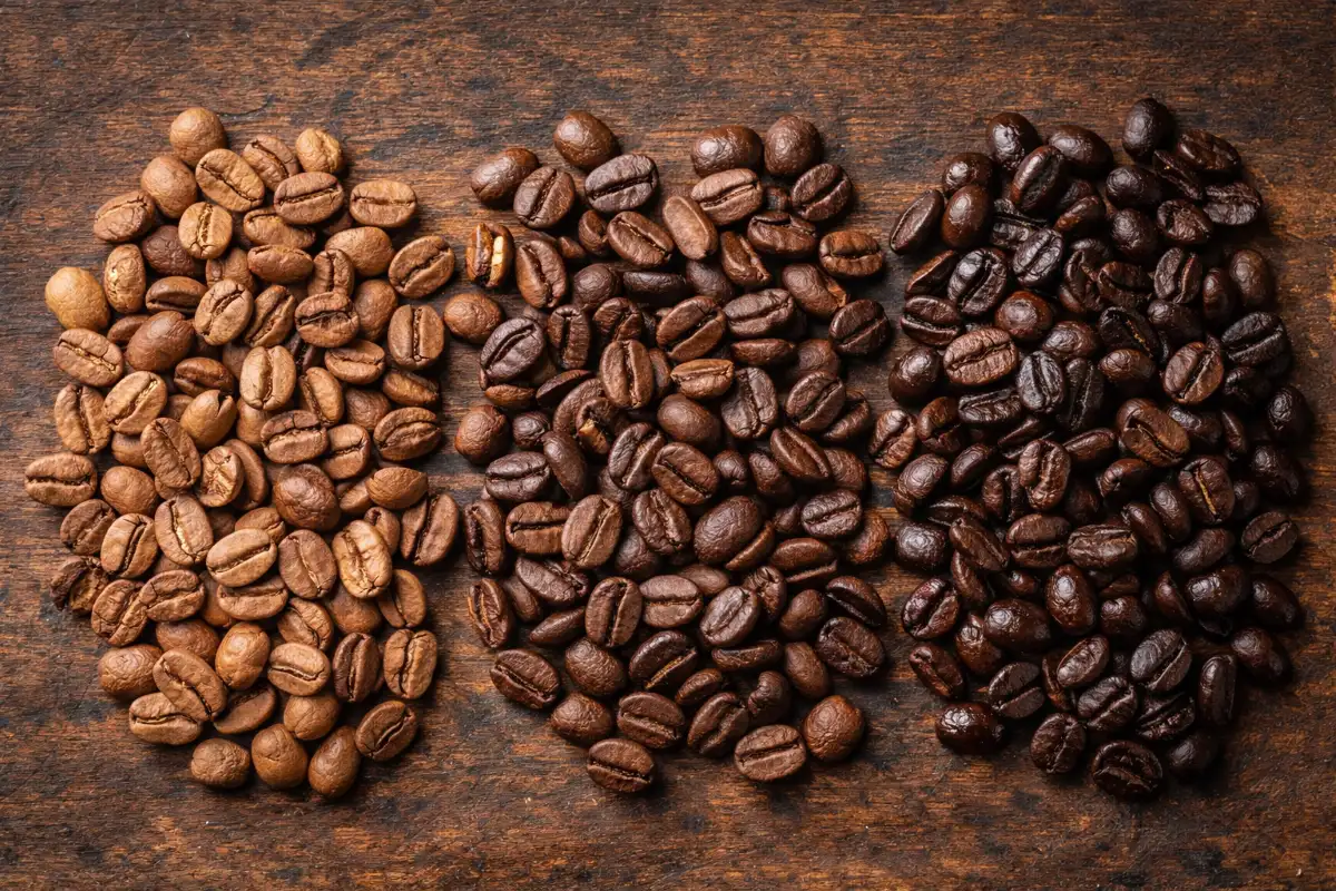 حبوب قهوة بدرجات تحميص مختلفة من الفاتح إلى الغامق