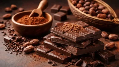 قطع شوكولاتة داكنة مع مسحوق كاكاو وحبوب كاكاو طبيعية
