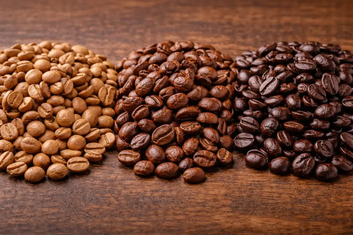 اختلاف شكل حبوب القهوة حسب درجة التحميص من حيث اللون واللمعان