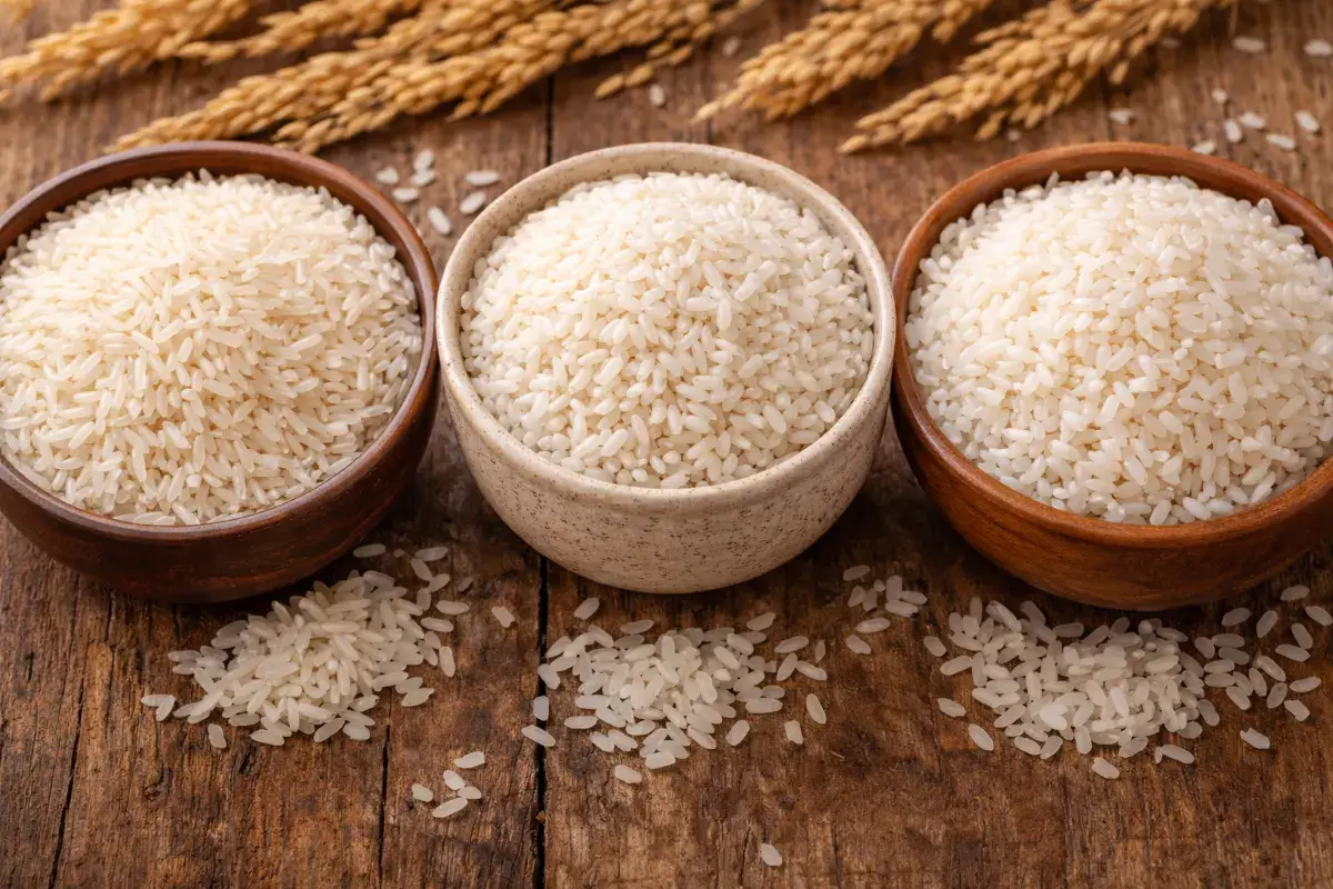 ثلاثة أنواع من الأرز الأبيض غير المطبوخ بحبوب مختلفة الطول