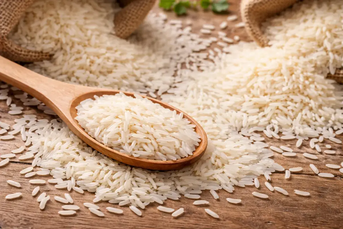 حبوب أرز بسمتي طويلة وغير مطبوخة تظهر شكل الحبة بوضوح